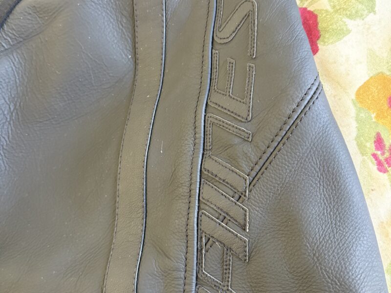 Pantalones Dainese Delta 4
