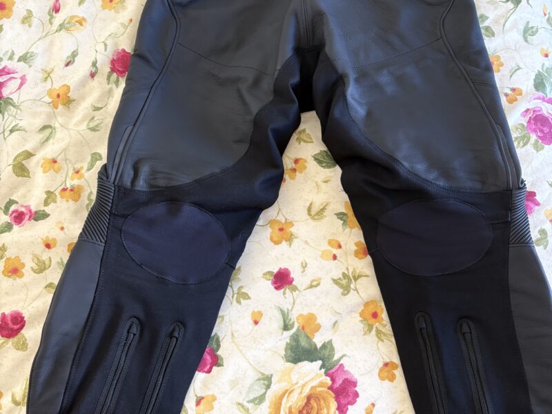 Pantalones Dainese Delta 4